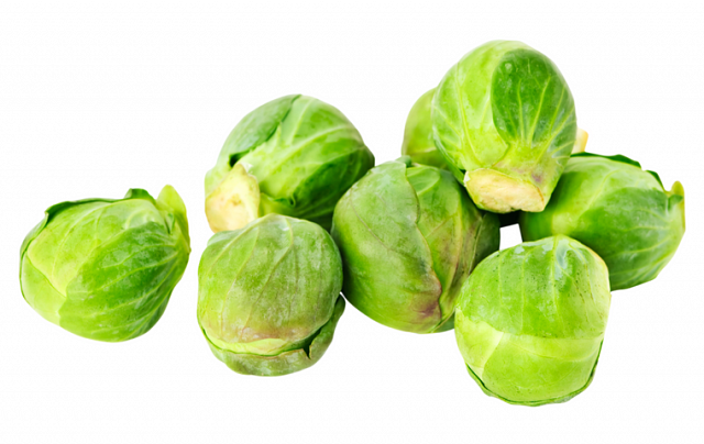 Keeping a CV up to date is a task best avoided (like festive brussel sprouts)